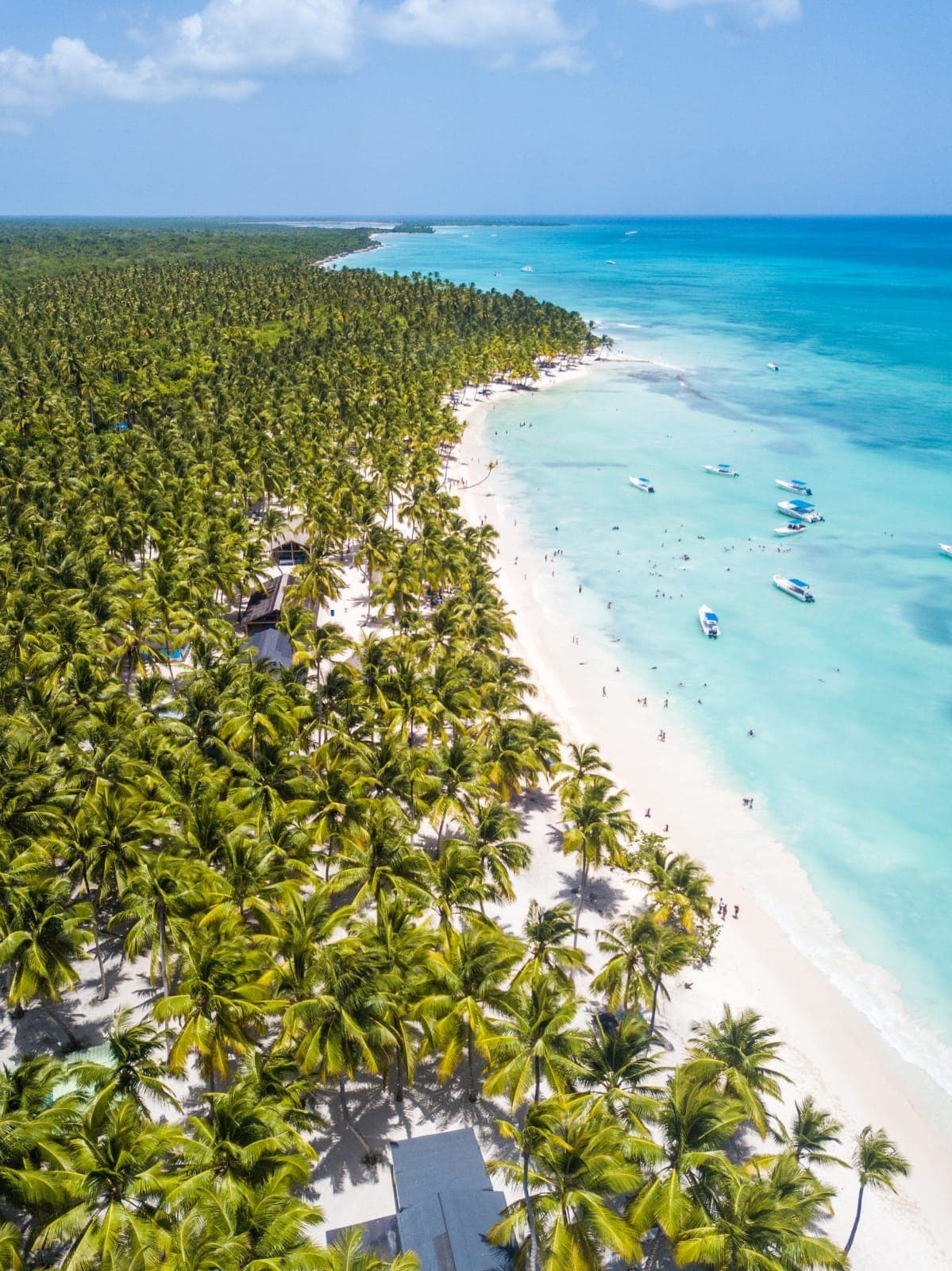 Saona Paradise Island: A Haven of Tranquility and Beauty