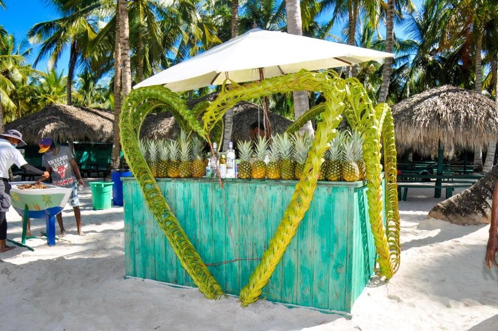 Saona Paradise Island: A Haven of Tranquility and Beauty