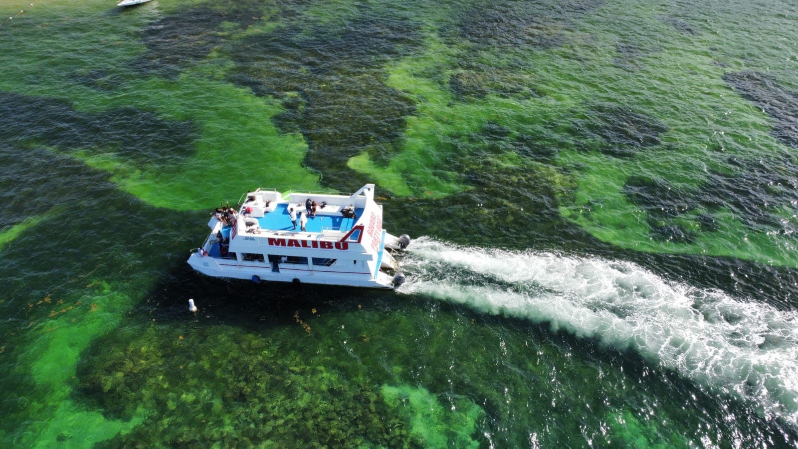 Sailing and Snorkeling : Embark on an Aquatic Adventure
