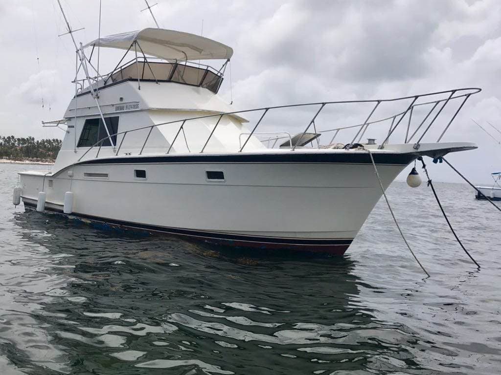 Deep Sea Fishing Excursion: Cast Away and Reel in Adventure