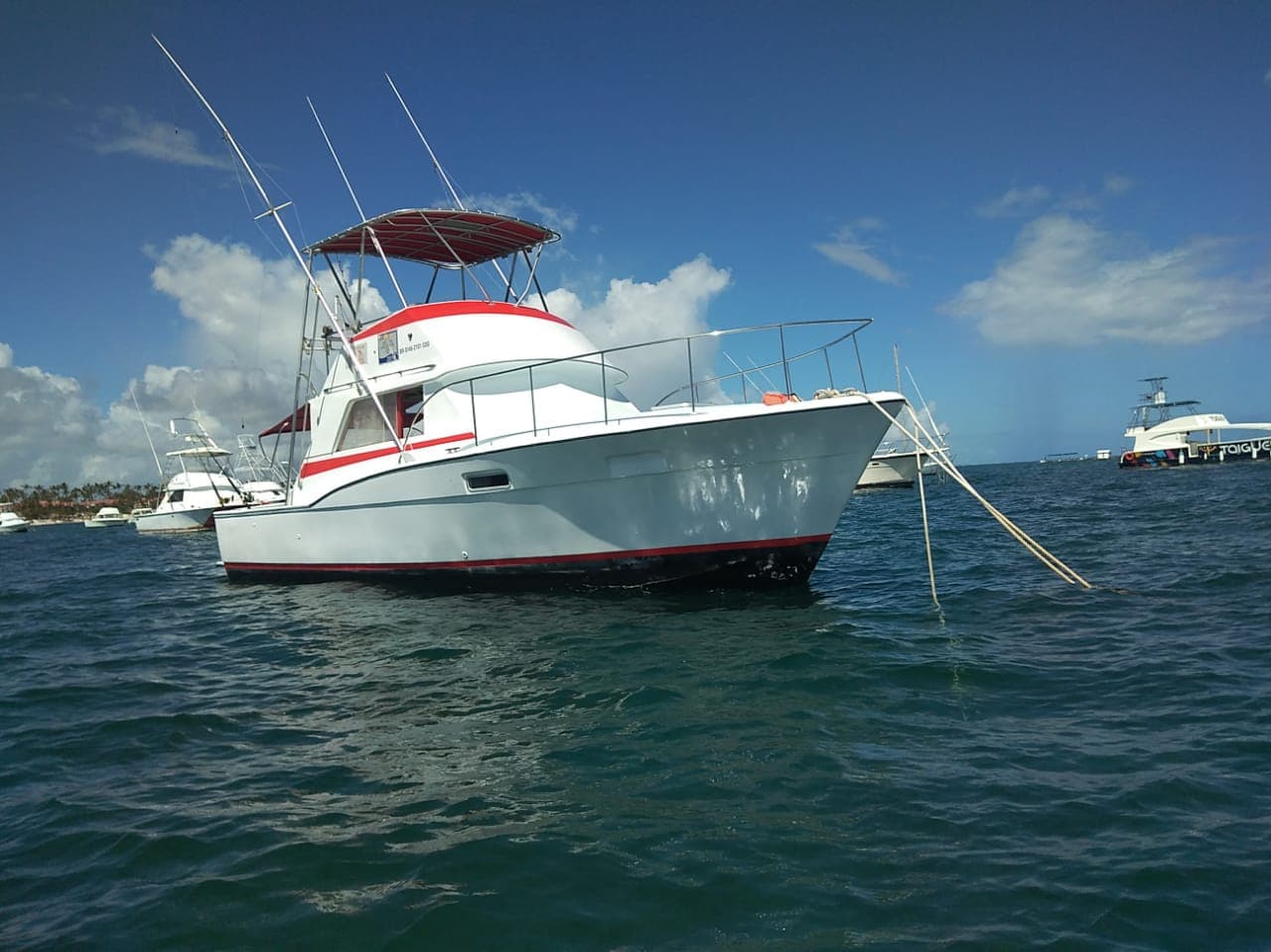Deep Sea Fishing Excursion: Cast Away and Reel in Adventure