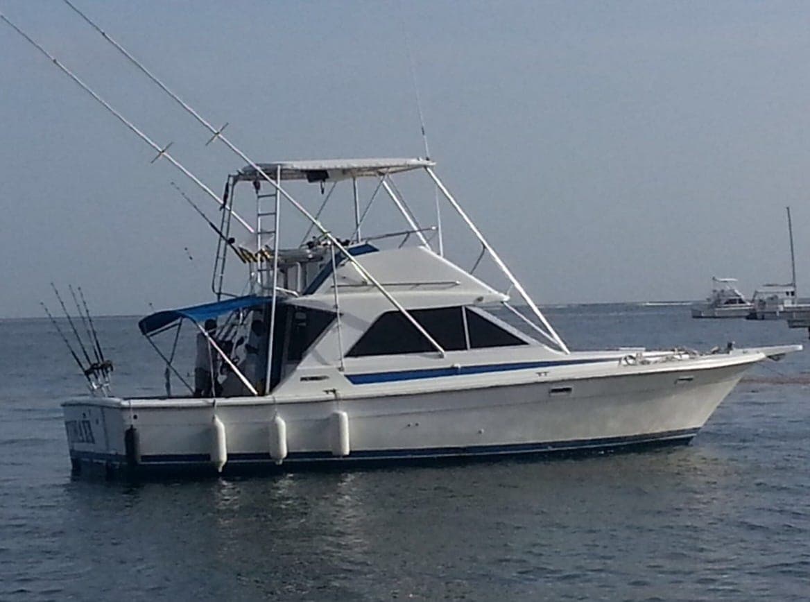 Deep Sea Fishing Excursion: Cast Away and Reel in Adventure