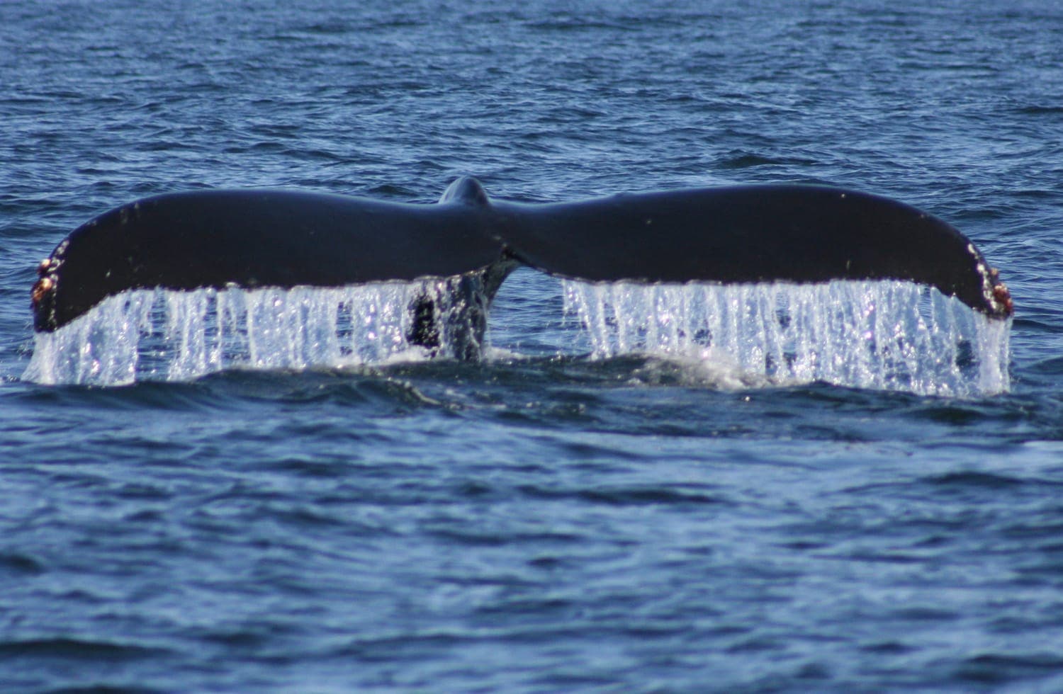 Los Haitises National Park