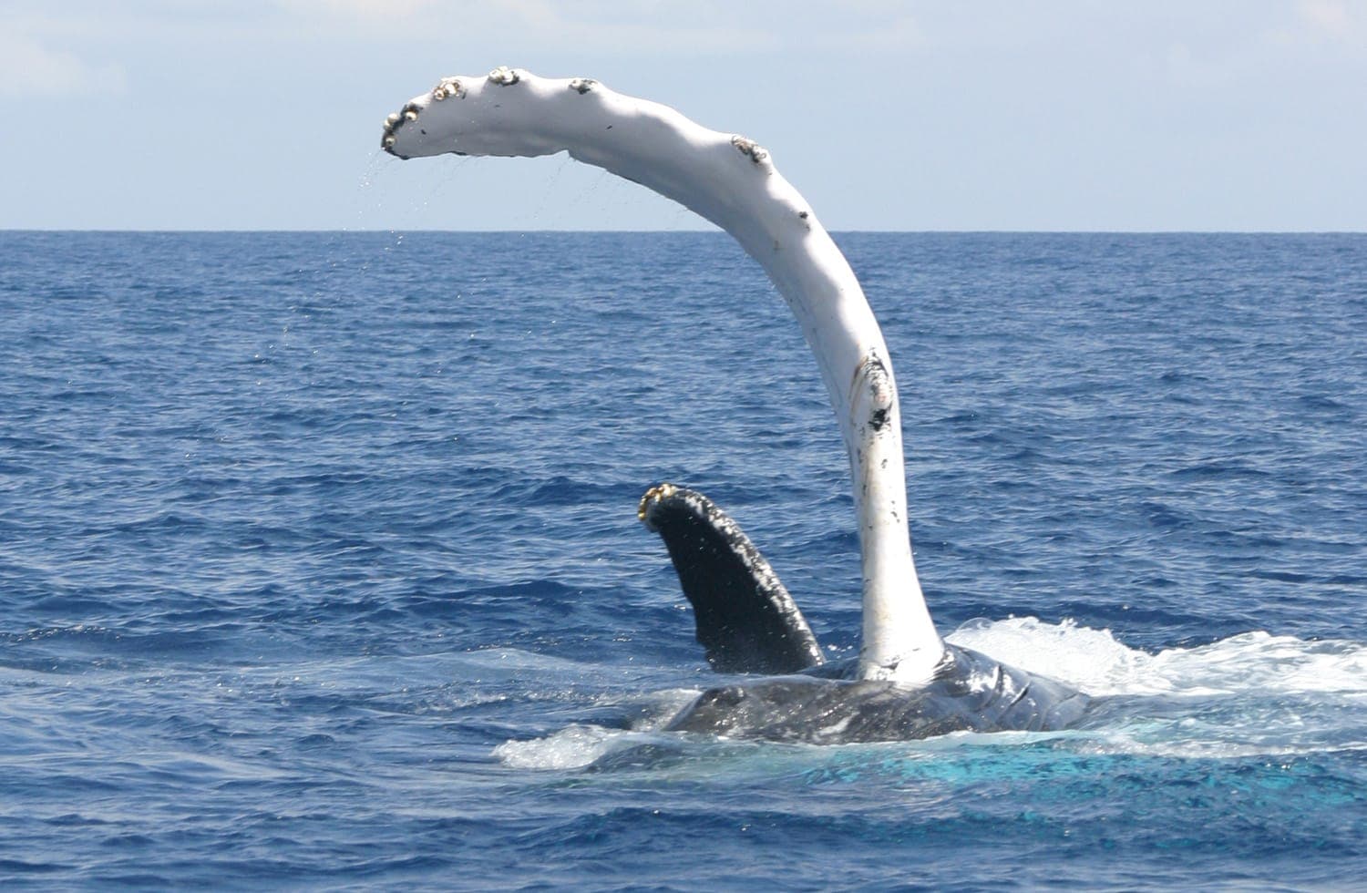 Los Haitises National Park