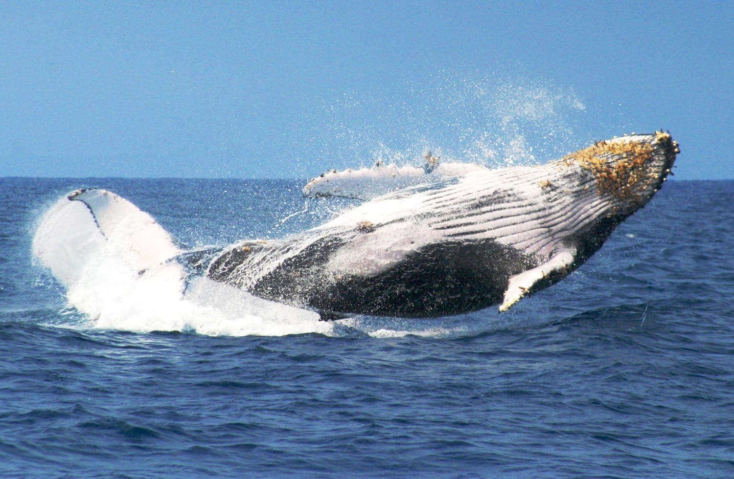 Los Haitises National Park