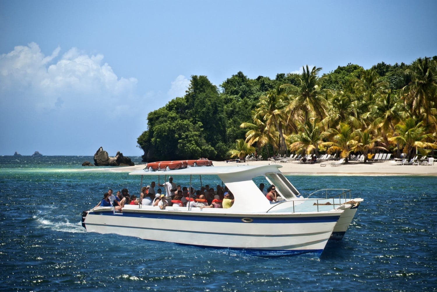 Whale Watching Samana by Fleet